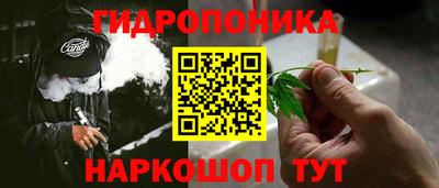 хмурый Малоярославец