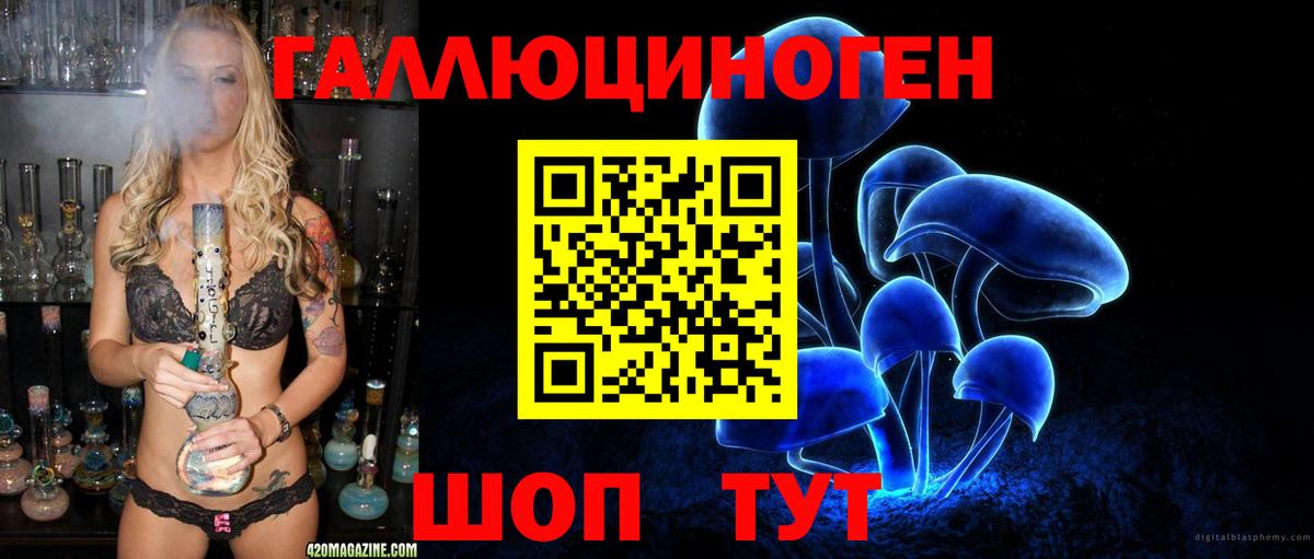 Урай  Псилоцибиновые грибы Psilocybine cubensis  Вход с VPN 